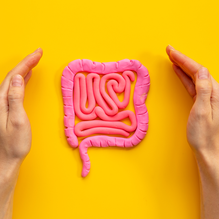 A Simple Guide to your Gut