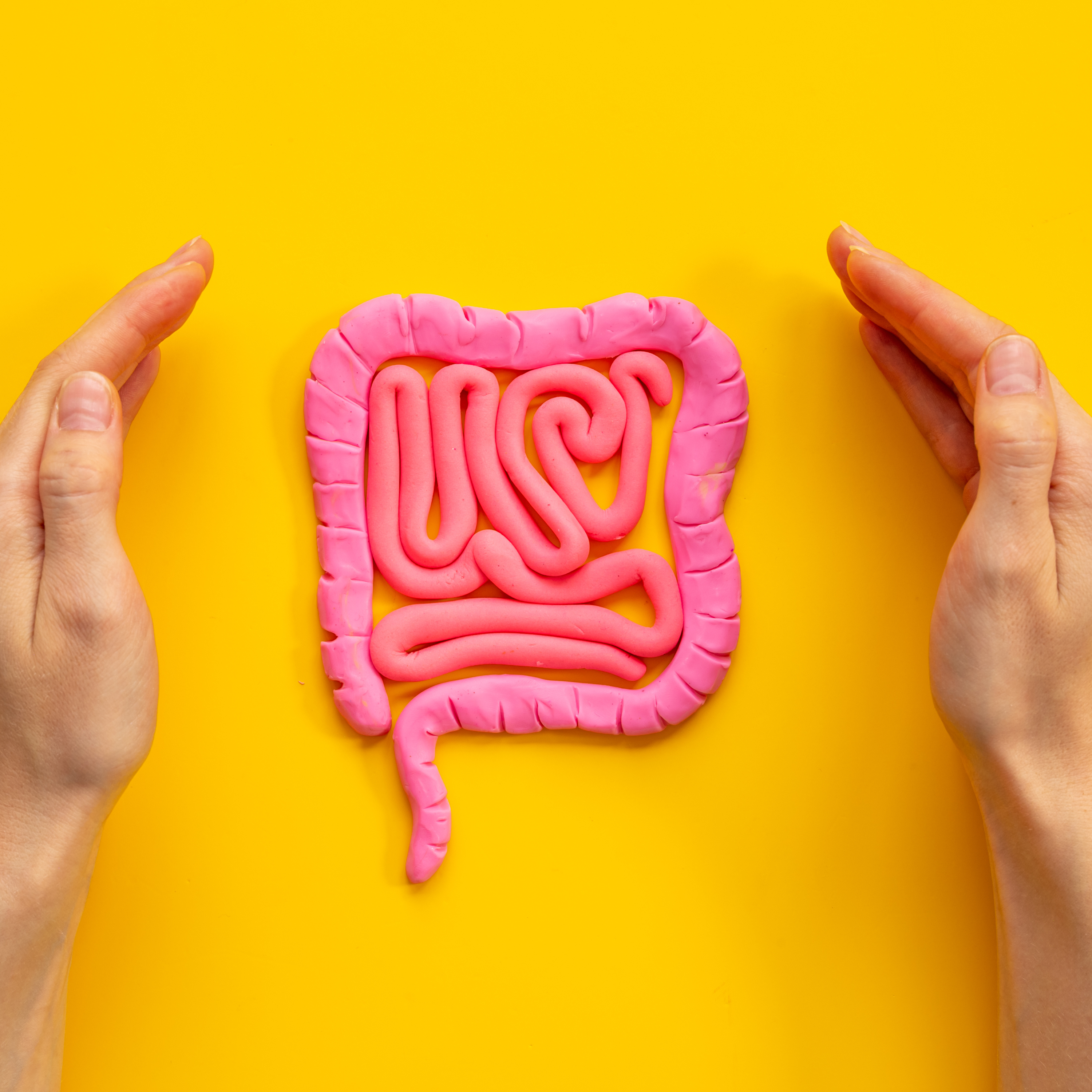 A Simple Guide to your Gut