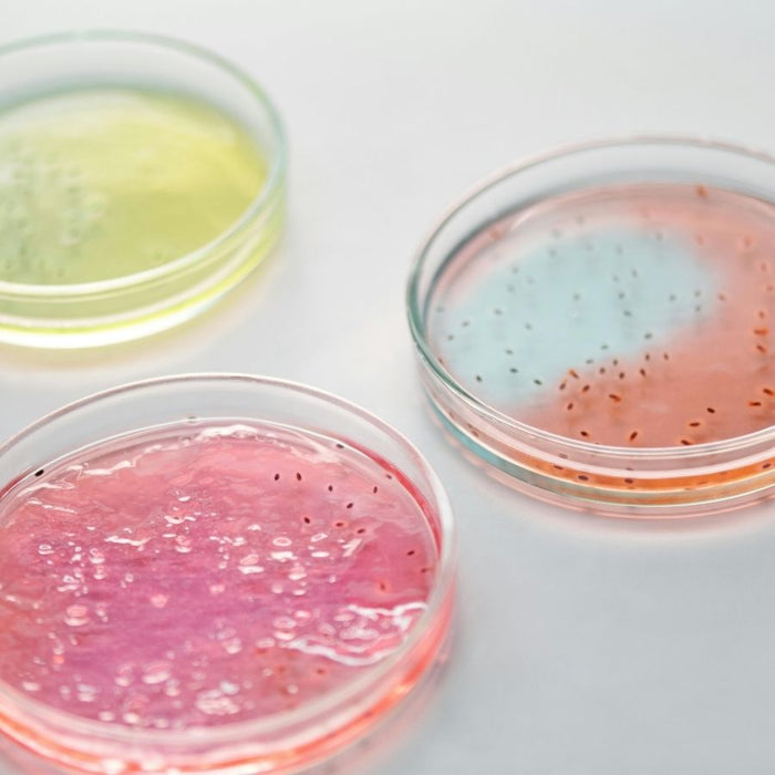 A guide to Prebiotics, Probiotics and Postbiotics