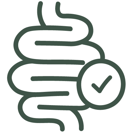 What do we mean by Gut?