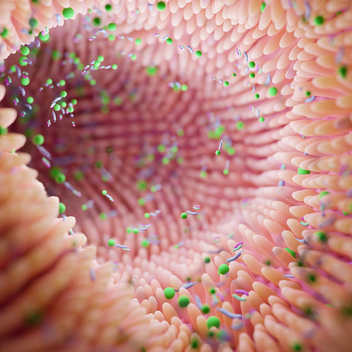 Signs that your gut microbiome might need some TLC!
