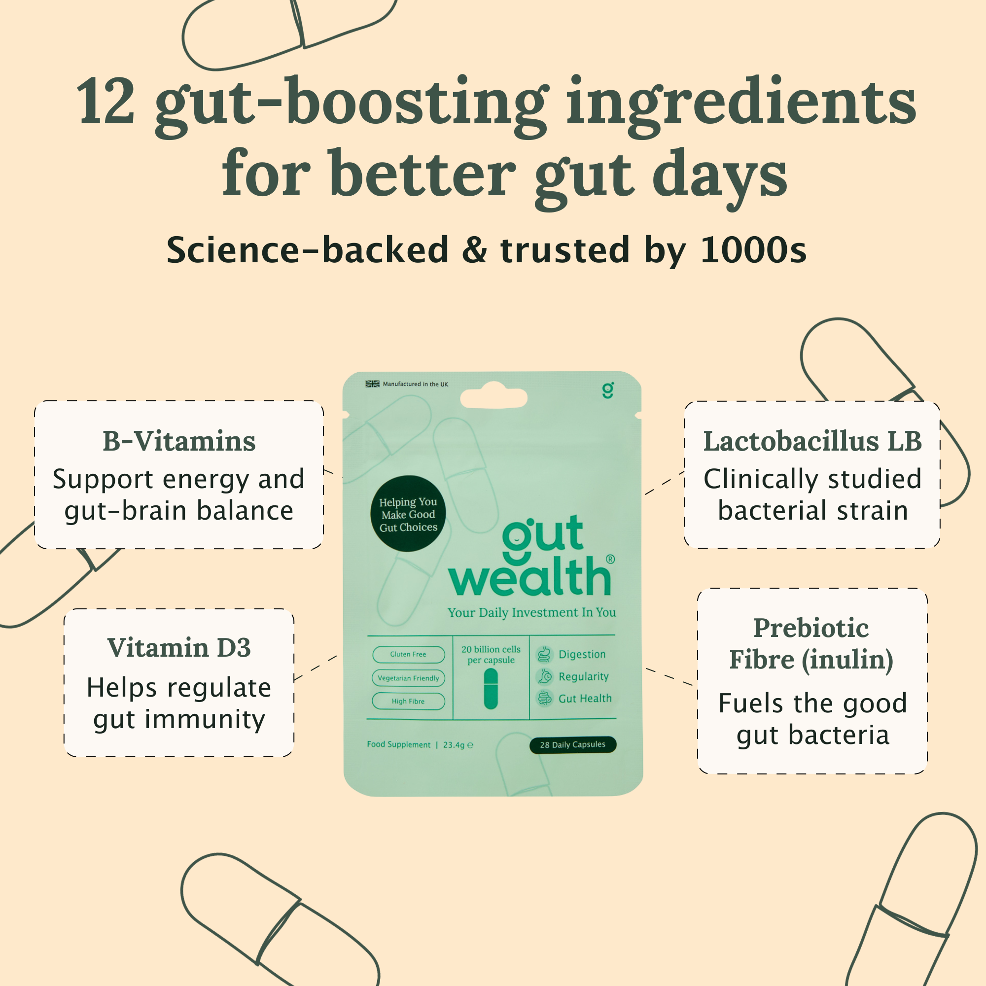 Gut Wealth postbiotic capsule ingredients - 12 gut-boosting ingredients including B-vitamins, Vitamin D3, Lactobacillus LB and prebiotic fibre