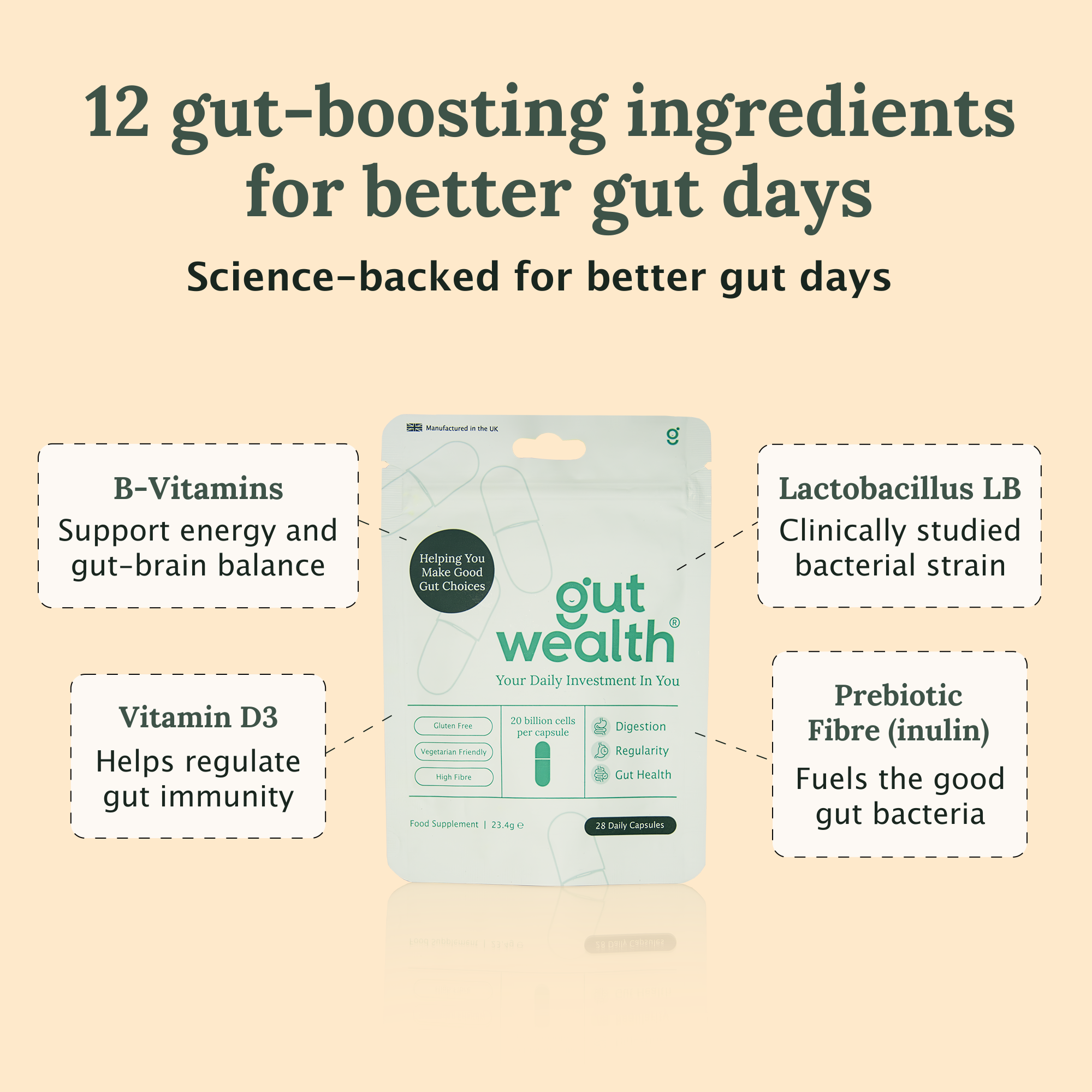Gut Wealth Daily Capsule - 3 Pack
