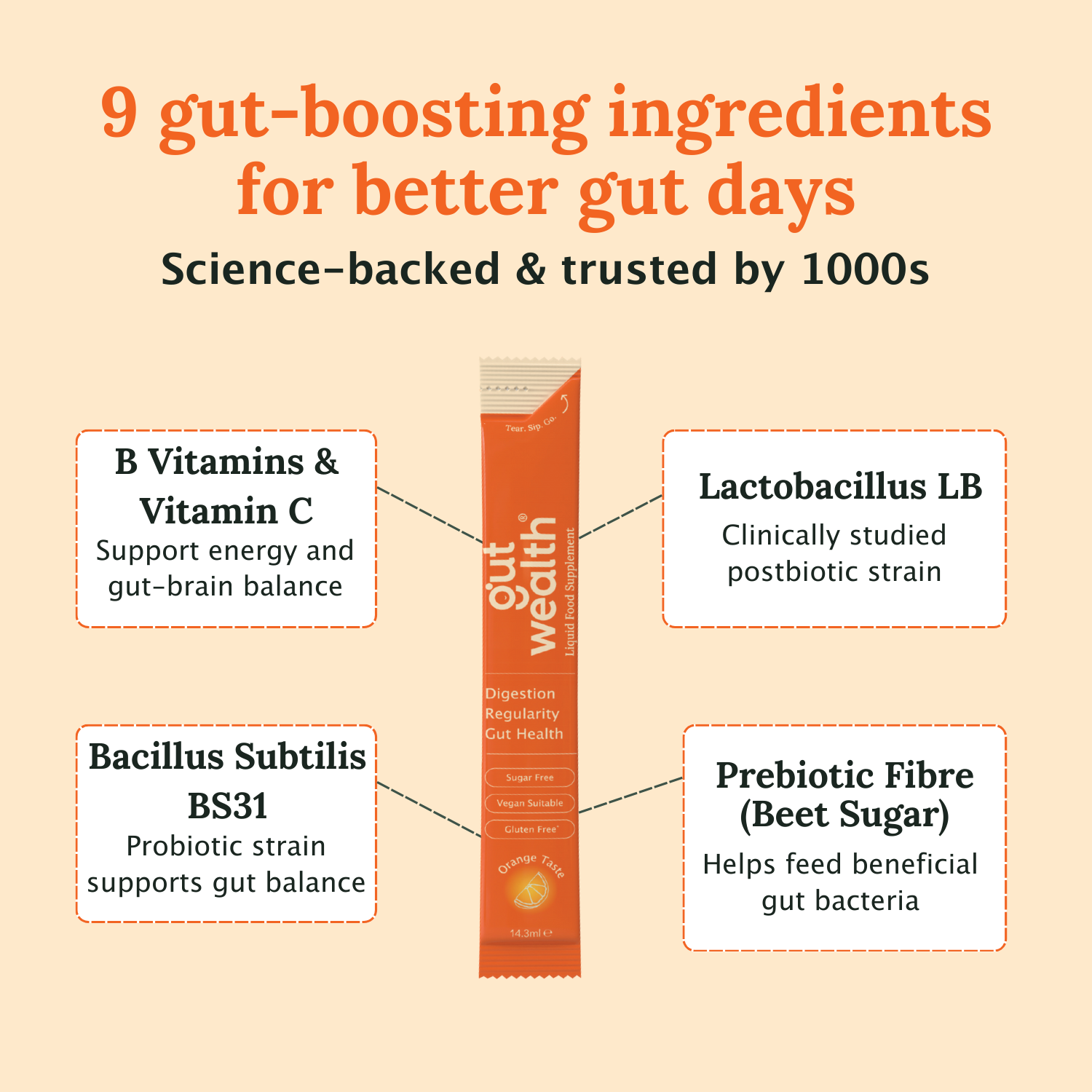 Gut Wealth Liquid Supplement